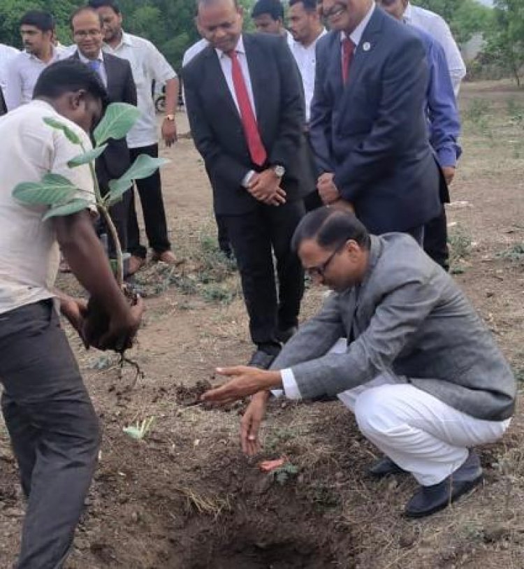 वृक्षरोपण व संवर्धन ही काळाची गरज -जिल्हा न्यायाधीश एम. बी. लंबे